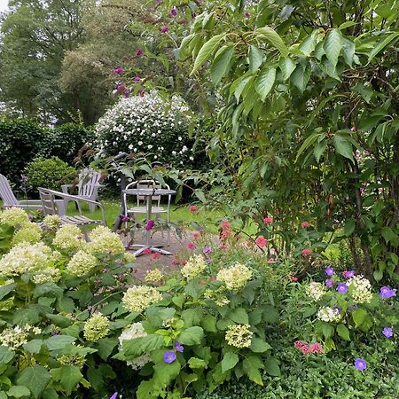 Bed and Breakfast De Viersprong Laren  Esterno foto